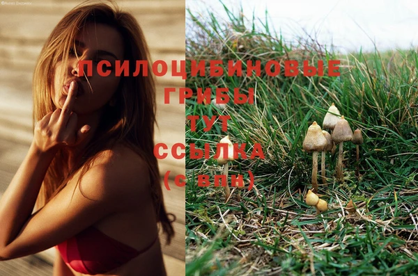 МДМА Аркадак