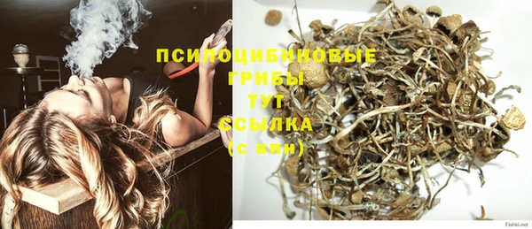 спайс Арсеньев