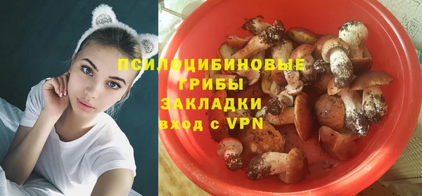 спайс Арсеньев