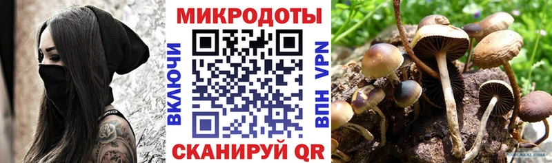 Псилоцибиновые грибы мицелий Феодосия